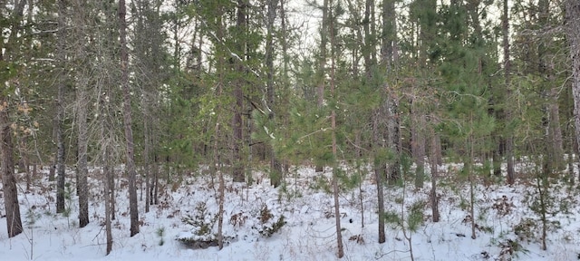 Chippewa Trl Lot 71, Rogers City MI, 49779 land for sale