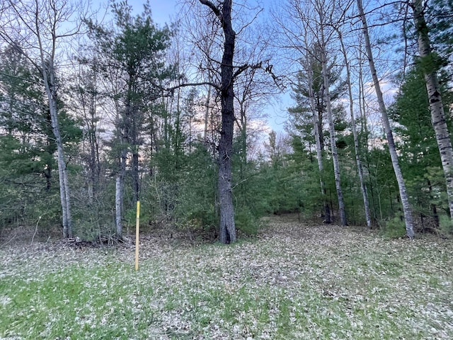 Listing photo 2 for 4196 Wolf Lake Dr Lot # 3Lake, Access Lot, Lewiston MI 49756