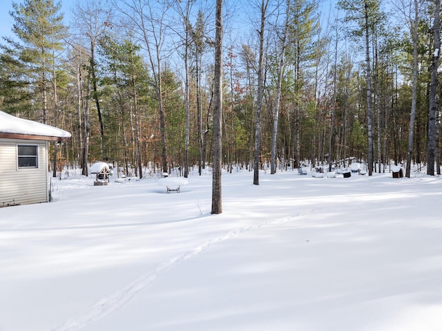 view of yard covered in snow