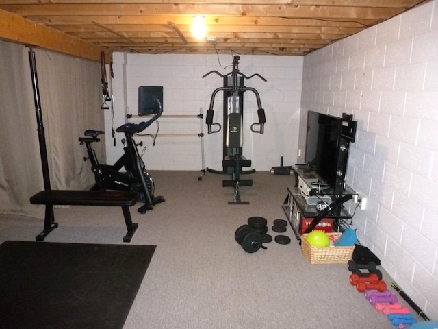 workout room featuring carpet