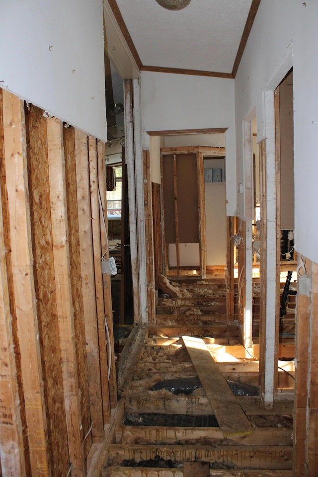 miscellaneous room featuring ornamental molding