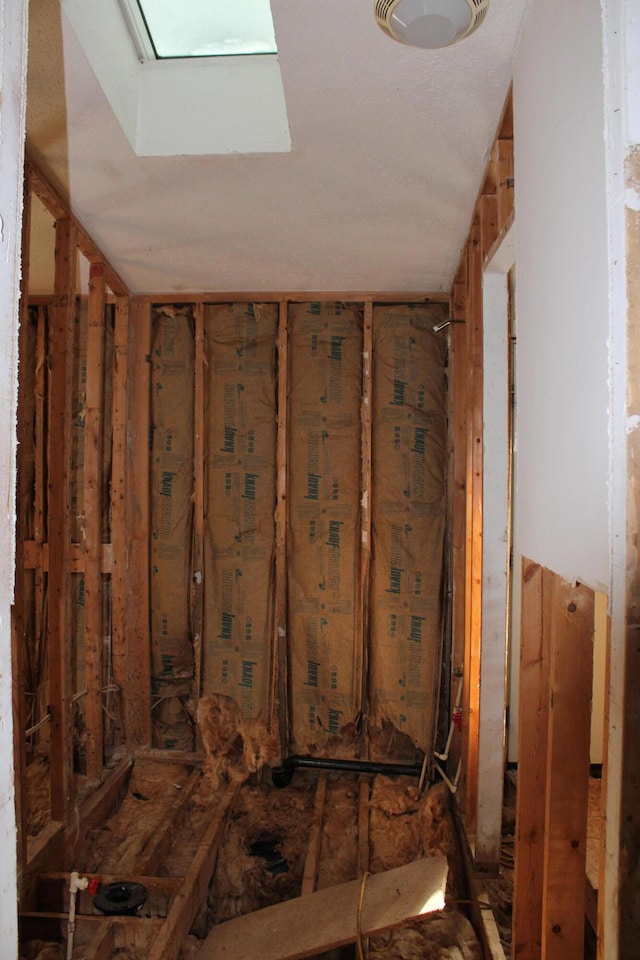 miscellaneous room with a skylight