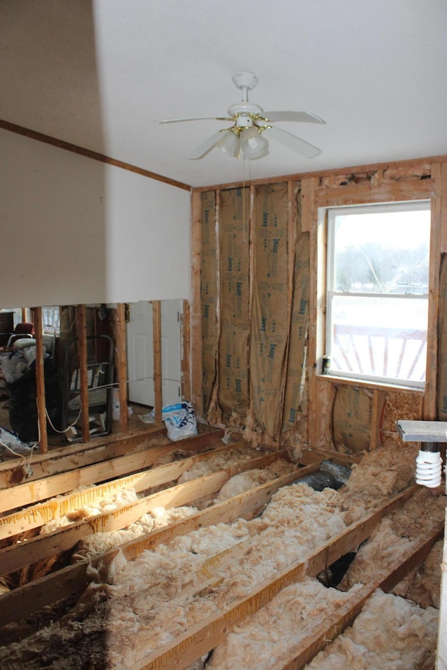 interior space with ceiling fan