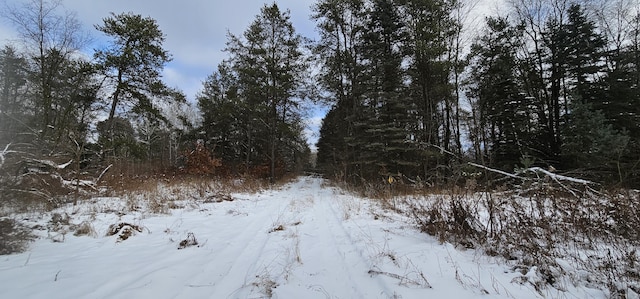 view of snowy landscape