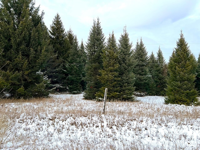 view of snowy landscape