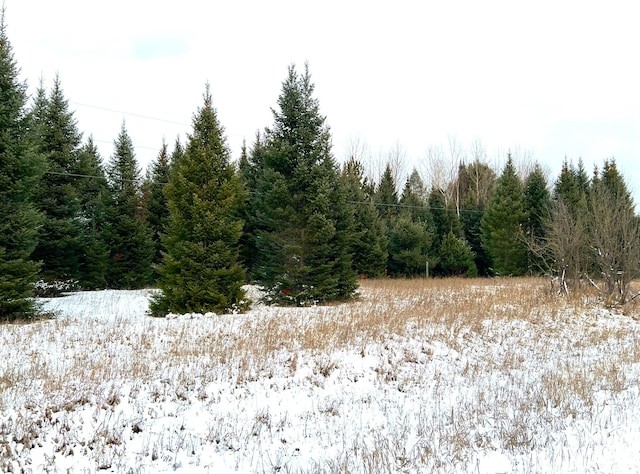 view of snowy view