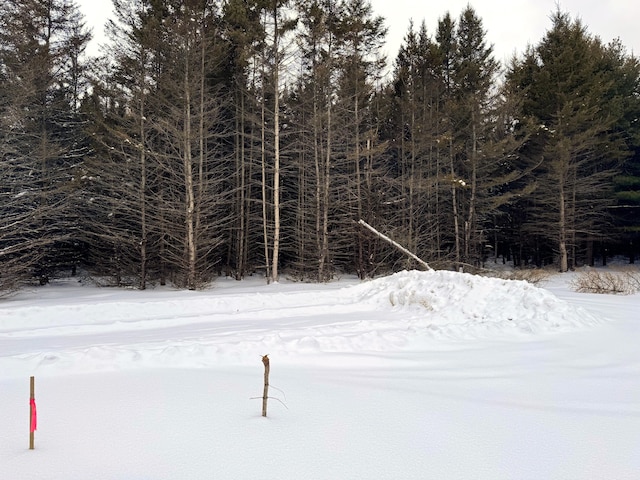 view of snow covered land