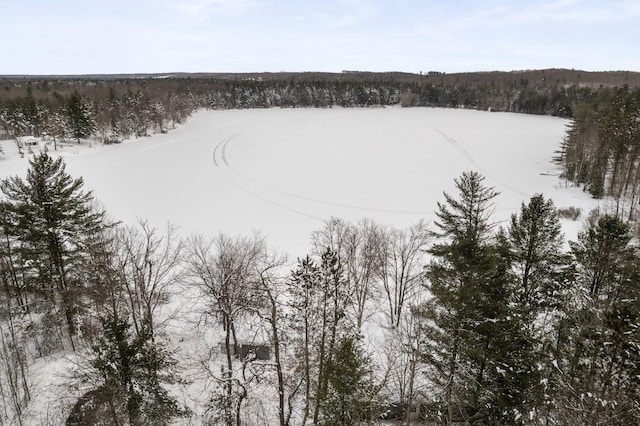 view of snowy aerial view