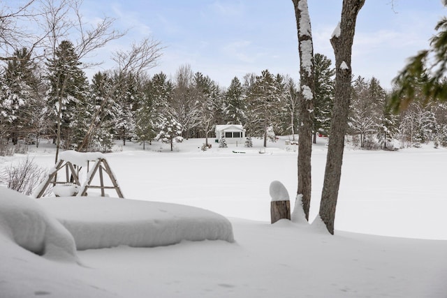 view of yard covered in snow