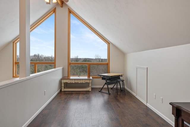 additional living space with dark hardwood / wood-style flooring, a wealth of natural light, and vaulted ceiling