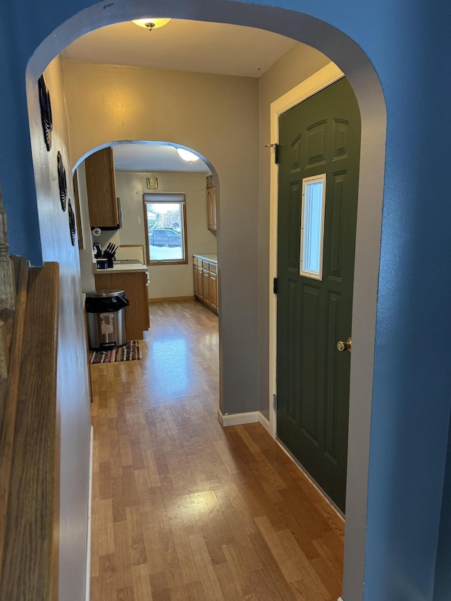 entrance foyer featuring light hardwood / wood-style flooring