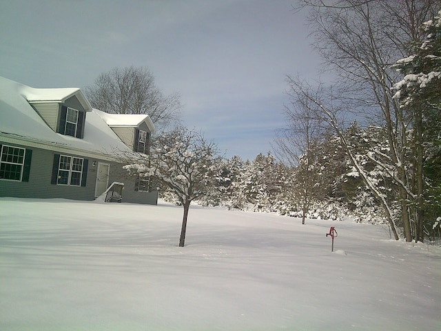 view of yard layered in snow