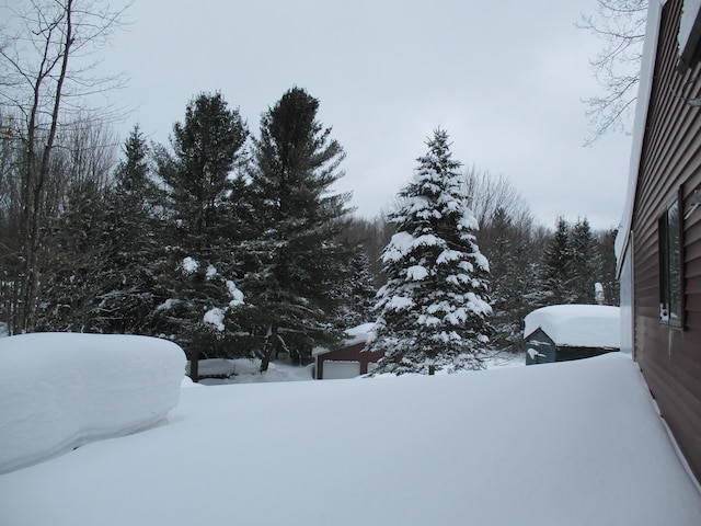 view of yard covered in snow