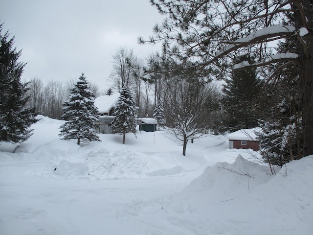 view of snowy yard