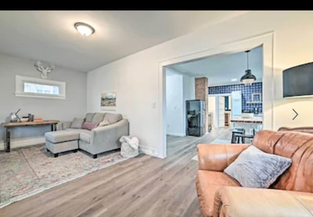 living room featuring hardwood / wood-style floors