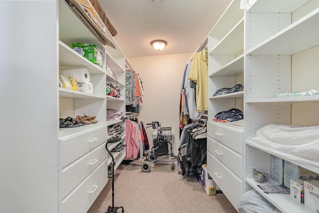 spacious closet with carpet floors