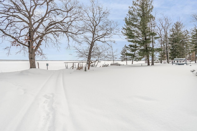 view of yard layered in snow