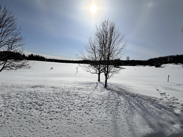 view of yard covered in snow