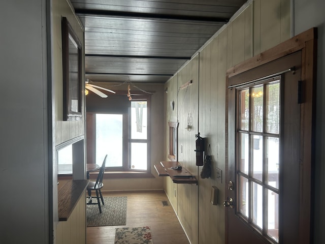 kitchen featuring ceiling fan, wooden walls, and light wood-type flooring