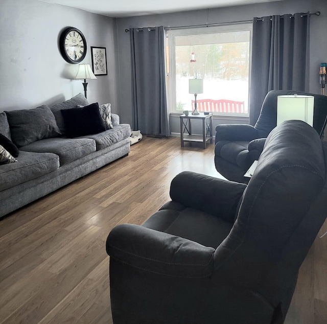 living room featuring hardwood / wood-style floors