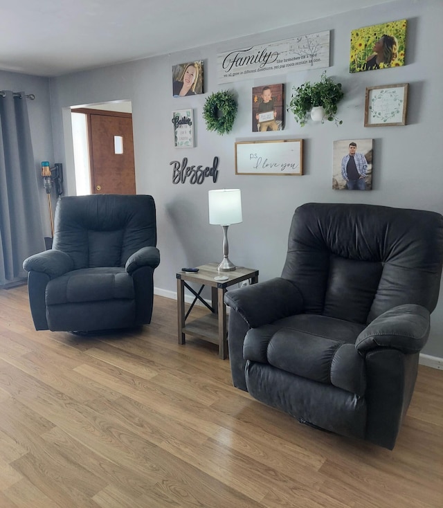 sitting room featuring wood-type flooring