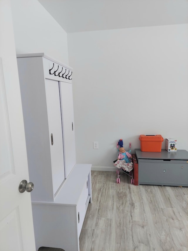 mudroom featuring light hardwood / wood-style floors