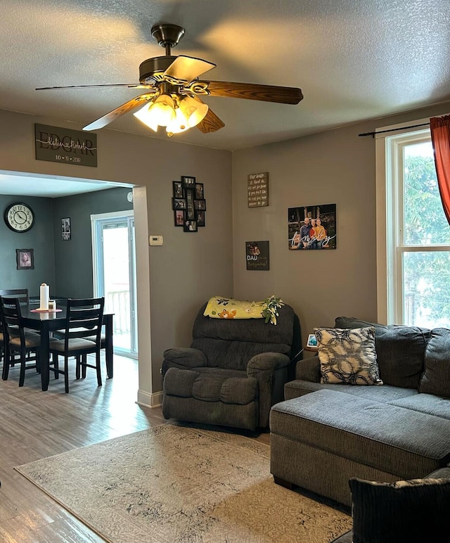 living room with ceiling fan, a textured ceiling, and wood finished floors