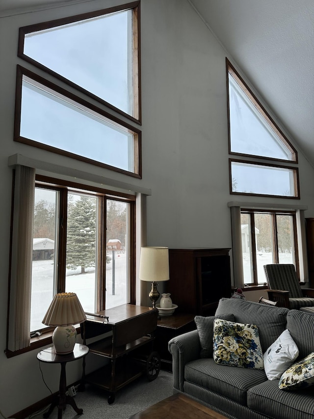 carpeted living room with high vaulted ceiling and plenty of natural light