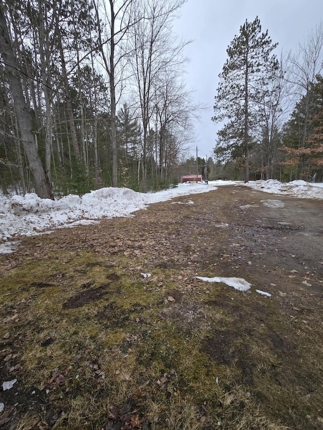 view of yard covered in snow