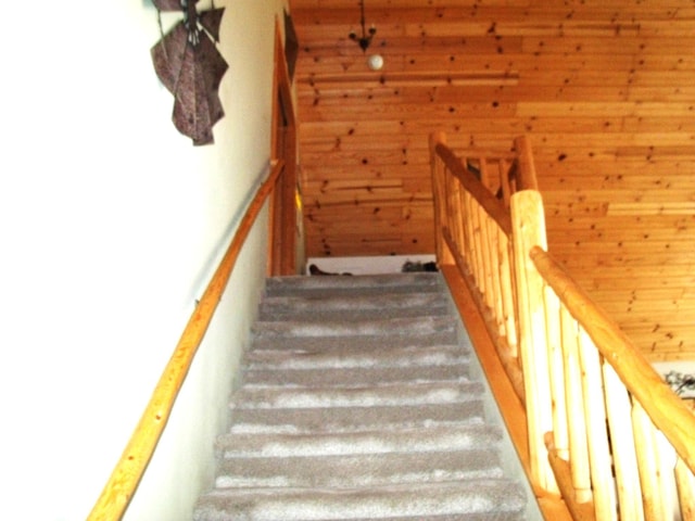 stairs with wood walls