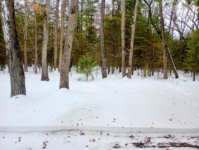 view of yard layered in snow