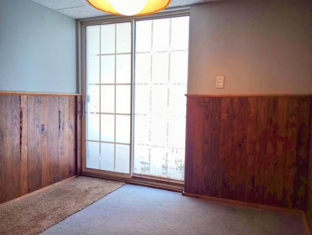 carpeted spare room with wainscoting, a healthy amount of sunlight, and wood walls