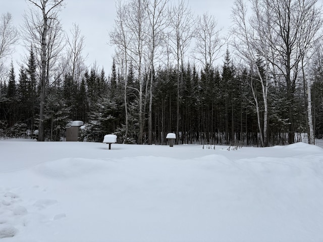 yard covered in snow featuring a wooded view