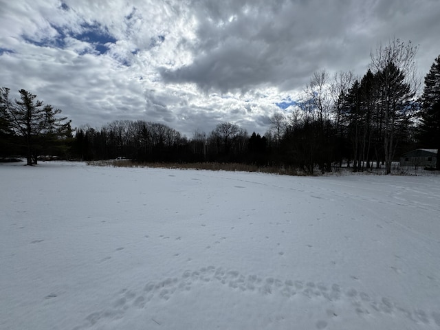 view of snowy yard