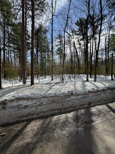 Chippewa Beach Rd, Indian River MI, 49749 land for sale