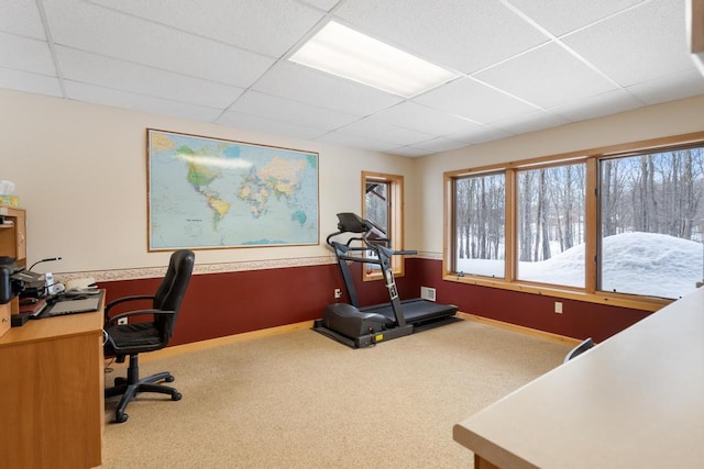 office with carpet, baseboards, and a drop ceiling