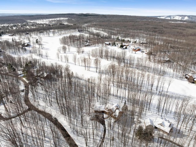 view of snowy aerial view