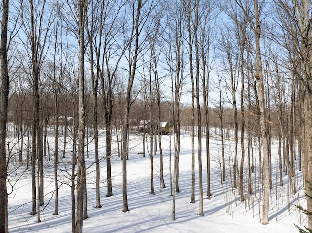 view of yard covered in snow