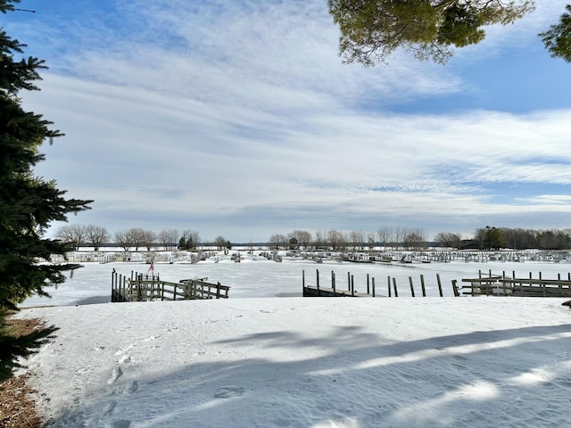 view of snowy yard