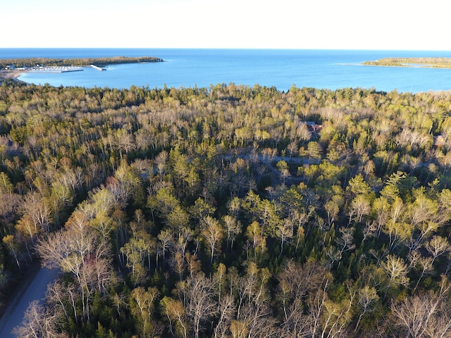 Wilderness Cir Unit 61-64, Presque Isle MI, 49777 land for sale