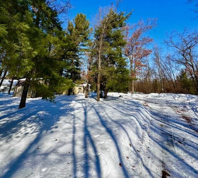 view of snowy yard