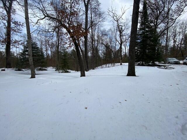 view of yard covered in snow