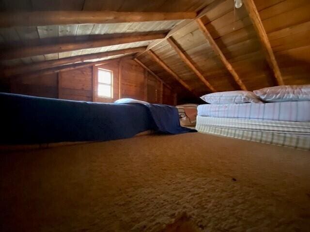 view of unfinished attic