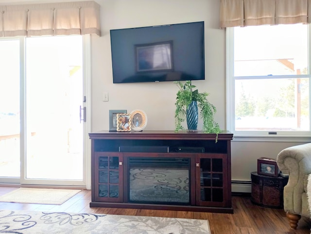 living room with a baseboard radiator, a fireplace, and wood finished floors