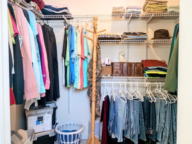 view of spacious closet