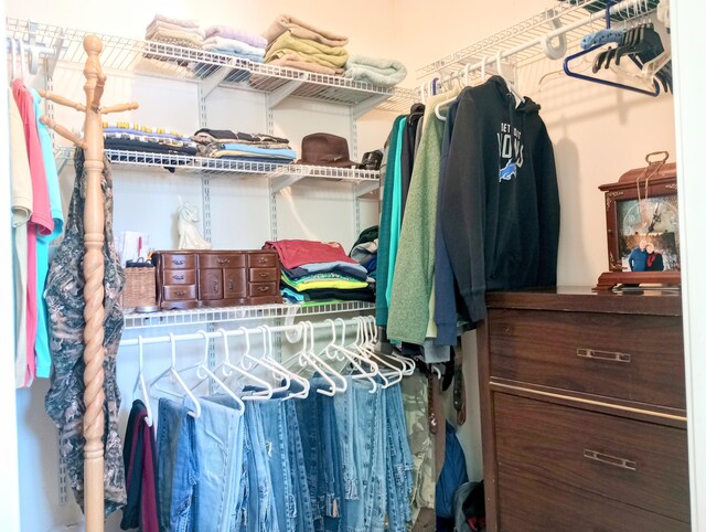 view of spacious closet