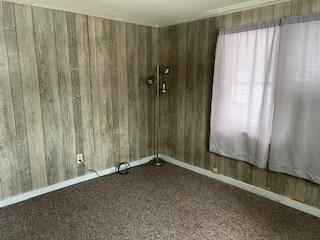 empty room featuring wood walls, baseboards, and carpet flooring