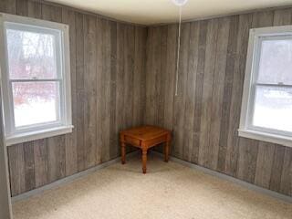 empty room with light carpet and wooden walls