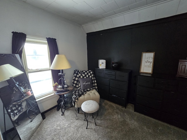 sitting room with carpet floors