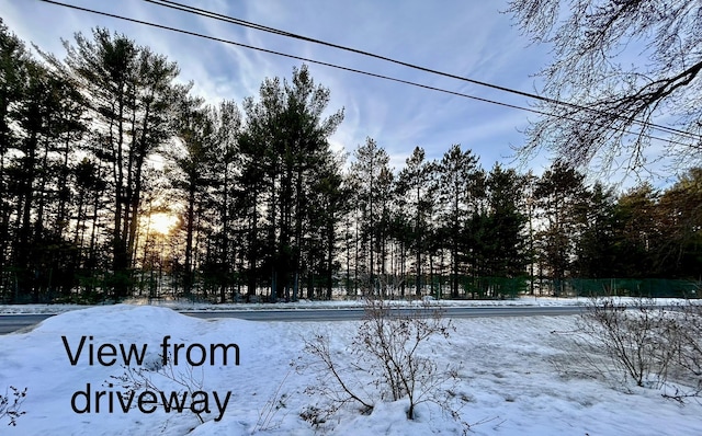 view of snowy yard